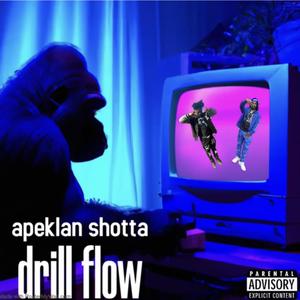 Drill Flow (Explicit)