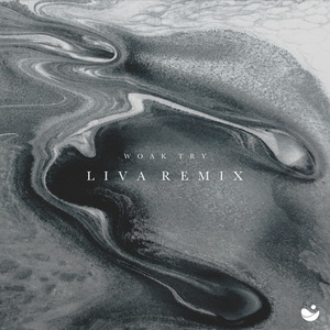 Liva - Try (Remix)