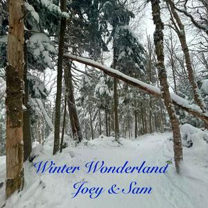 Winter Wonderland (feat. Sam Garcia)