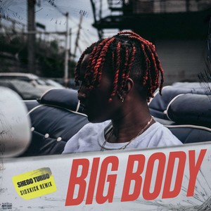 Big Body (Sidxkick Remix) [Explicit]