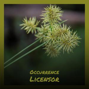 Occurrence Licensor