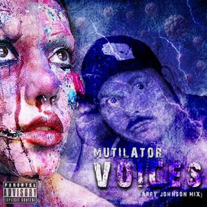 Voices (Harry Johnson Mix|Explicit)