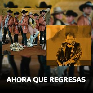 Ahora Que Regresas (feat. La Furia Perrona & Carlos Fierro)