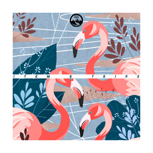 Hemisphere (Sascha Sonido Edit)