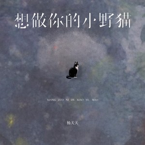 想做你的小野猫