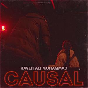 Causal (Explicit)