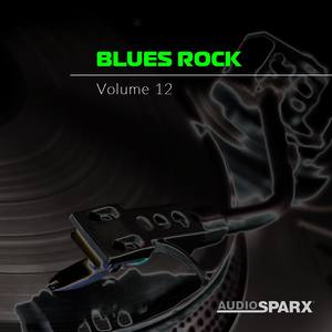 Blues Rock Volume 12