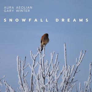 Snowfall Dreams (A Journey Into Winter’s Embrace)