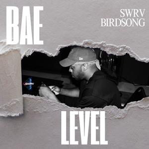 Bae Level