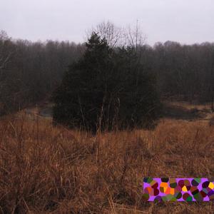 Love Comes For (feat. King Clay) (Explicit)