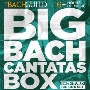 Orchestra Of The Bach Guild - Cantata No.209: Non sa che sia dolore (Italian Cantata), BWV209: IV. Recitative: Tuo saver al tempo e l'eta contrasta