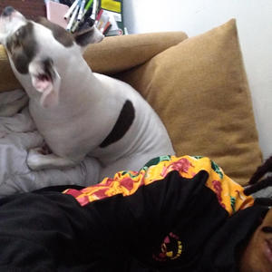 Rocket Racoon (feat. Bravo Smoovz, 5G & Lil Prince) (Freestyle) (Explicit)