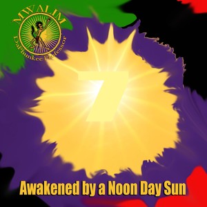 Awakened by a Noon Day Sun (The Afrobeatnik's Remix)