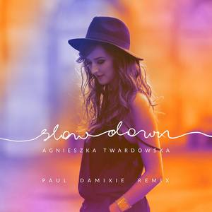 Slow Down (Paul Damixie Remix)