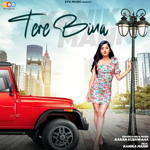Tere Bina