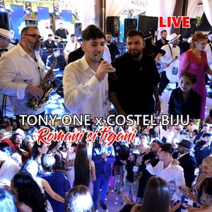 Romani si Tigani (Live)