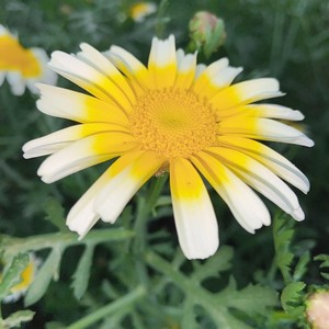 做我老婆好不好