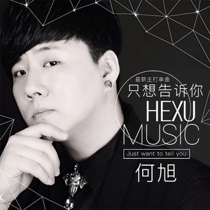 只想告诉你 (DJ大圣版)