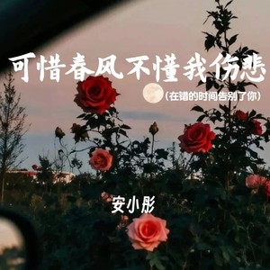 可惜春风不懂我伤悲-安小彤