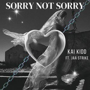 Sorry Not Sorry (feat. JAA Strike)