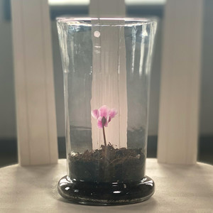 How Will I Be (Explicit)