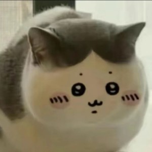 乌萨奇发疯版 - Montagem Miau (小八版)