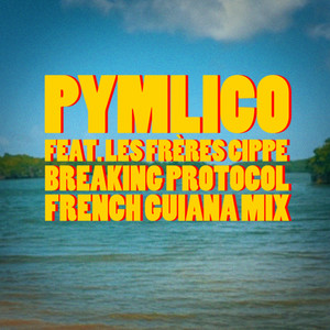 Breaking Protocol (French Guiana Mix)