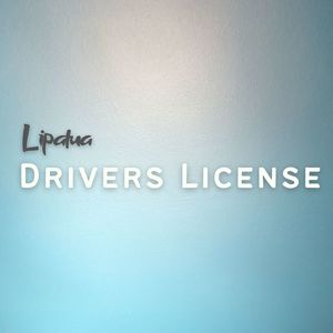 Drivers License