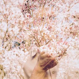 Ladies That Lunch (Paal Singh Remix)