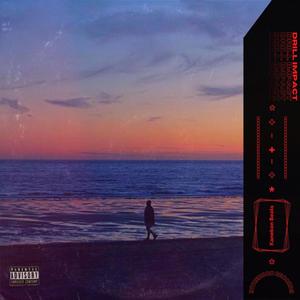 J'VOUS EM*****(feat. L.D.B) (Explicit)