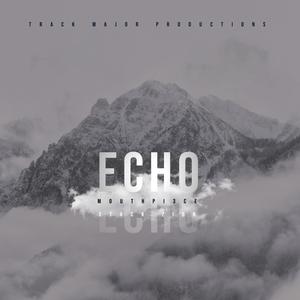Echo(feat. Stack Zion & Mouthpi3ce)
