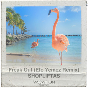 Freak Out (Efe Yemez Remix)