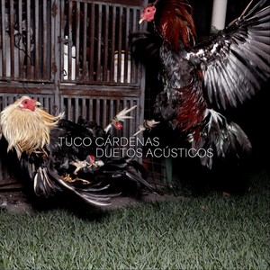 Solito (feat. Rodrigo Zarco)