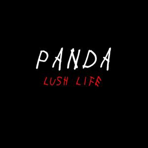 Panda (Explicit)