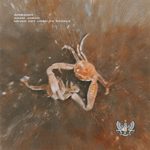 Told them (Explicit)