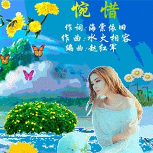 惋惜 (纯伴奏|伴奏)
