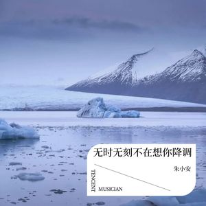 无时无刻不在想你降调 (Remix)