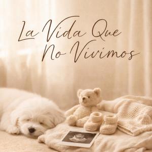 La Vida Que No Vivimos