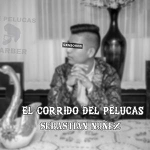 El corrido del Pelucas (Explicit)