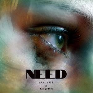 Need (Explicit)