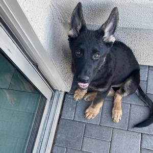 Better Then Ever Then Before (Explicit)