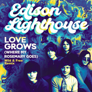 Love Grows(Where My Rosemary Goes) (Wild & Free Remix)
