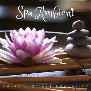 Spa Ambient: Relax & Stress Reduction, Relaxation Music for Wellness, Nature Sounds