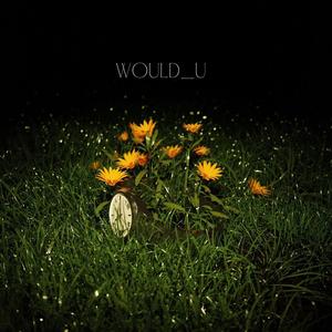 WOULD U (Explicit)