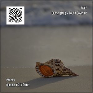 Touch Down (Querido|CH|Remix)
