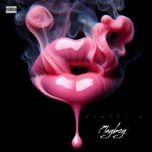 Playboy (Deluxe) [Explicit]