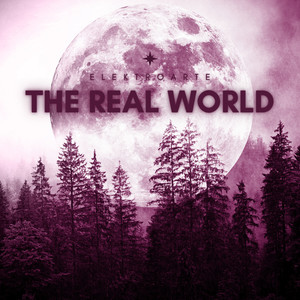 The real world