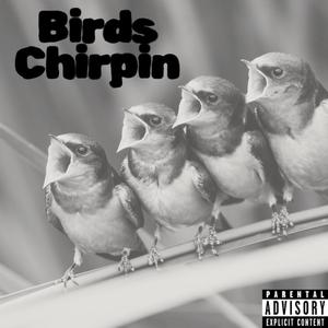 Birds chirpin (Explicit)