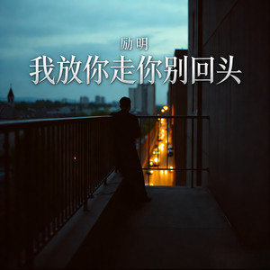 我放你走你别回头（用沉默代替温柔）