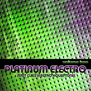 Platinum Electro, Vol.2 (First Class Electro House Tunes)